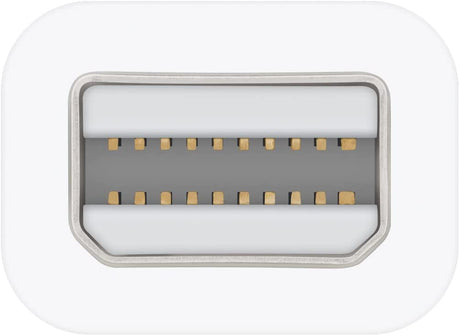 محول Apple Thunderbolt إلى FireWire OB