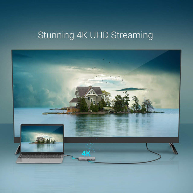 LENTION USB C Hub with 4K HDMI, VGA OB