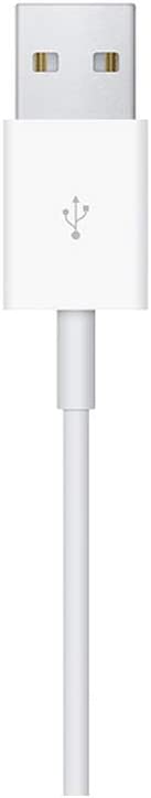 Câble de chargement magnétique Apple Watch (1 m OB