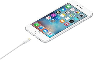 Câble Apple Lightning vers USB (1 m) OB